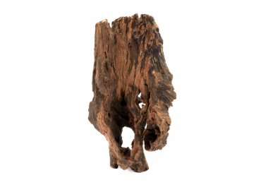 Kongo Wood Größe S