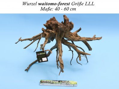 Dekowurzel - waitomo forest LLL