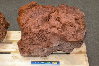 Lava rot / braun Übergröße/Schaustück ab 6,0 kg(ab 33 cm)