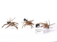 decoration root jungle root size M