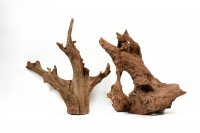 Decorative root Mangrove size M