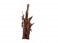 Decorative root Mangrove size XL