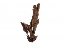 Decorative root Mangrove size XXL