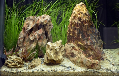 Aquarium mit Drachenstein