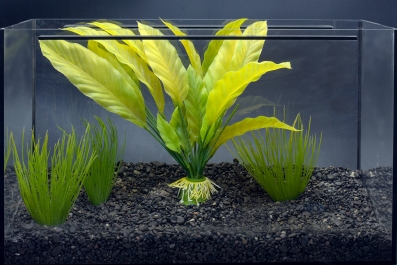 Naturkiesmischung Kongo 2-8 mm