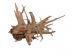 Dekowurzel Igelwurzel ca. 50-65 cm