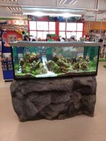 Aquarium with lava stones