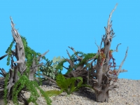 Dekowurzel Mystic Tree ca. 40-60 cm