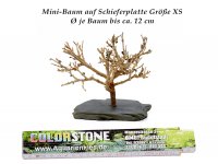Mini-Baum XS (Nano)