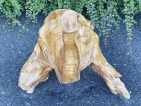 Sculpture Elephant head 1 made o...