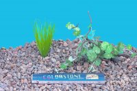 Soil substrate for aquariums and...