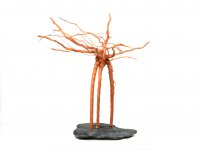 Wire Tree at slate plate