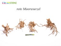 red moor root - 10 kg mixed carton